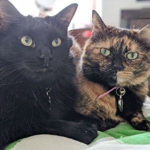 Meet your Posher, Monica